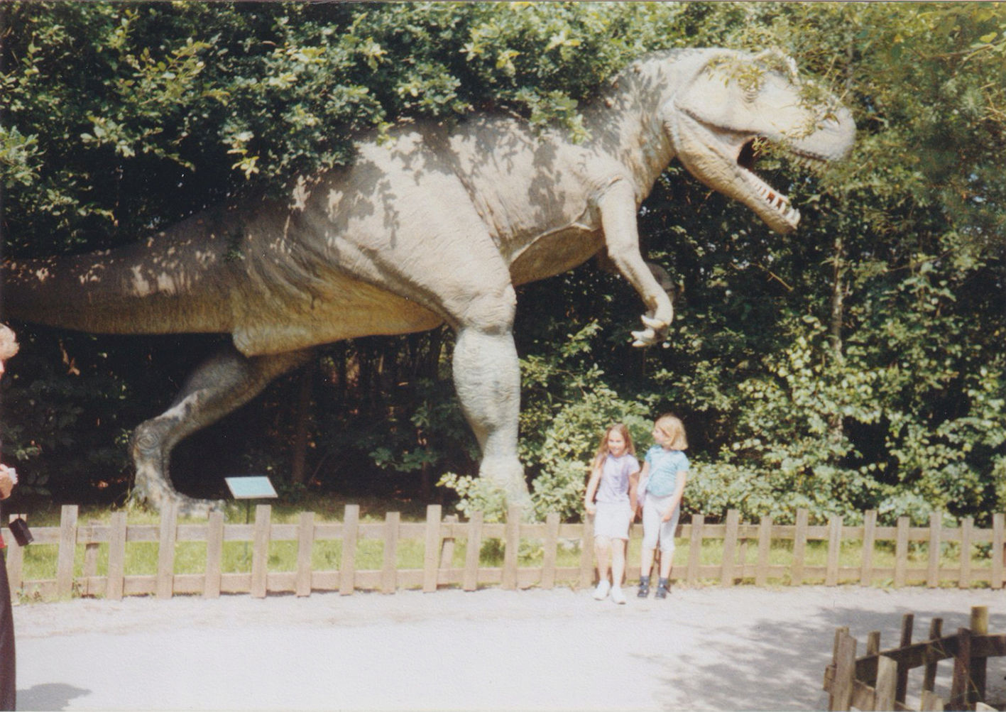 Fotografie zu Deutung 5c - Tyrannosaurus Rex guckt nach vorne, Mädchen nach hinten, Dinosaurier-Park Münchehagen